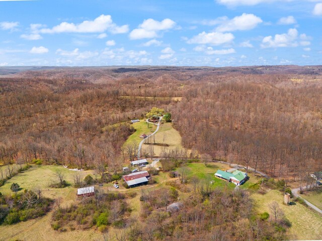 1295 Burger Knob Rd, Junction City, KY 40440 - bird's eye view