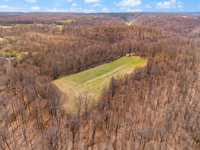 1295 Burger Knob Rd, Junction City, KY 40440 - birds eye view of property with a wooded view