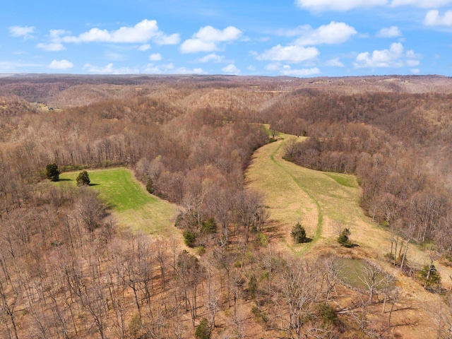 1295 Burger Knob Rd, Junction City, KY 40440 - aerial view with a wooded view