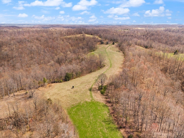 1295 Burger Knob Rd, Junction City, KY 40440 - birds eye view of property featuring a view of trees