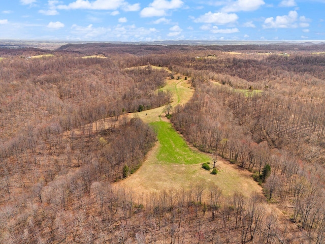 1295 Burger Knob Rd, Junction City, KY 40440 - bird's eye view with a view of trees