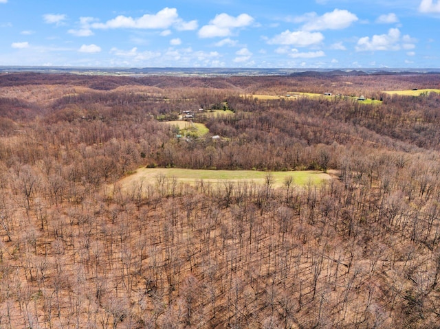 1295 Burger Knob Rd, Junction City, KY 40440 - aerial view