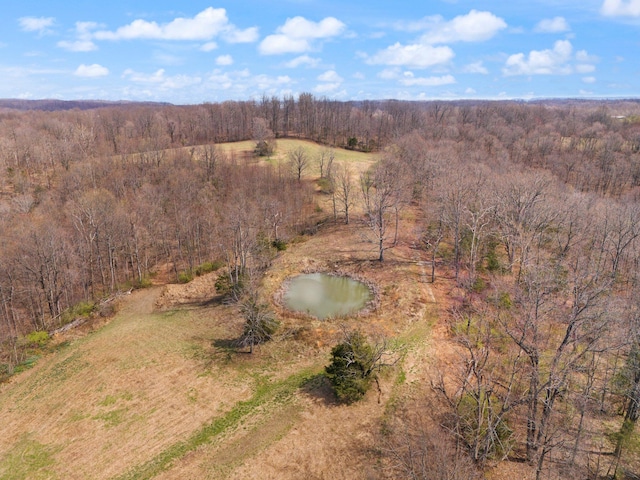 1295 Burger Knob Rd, Junction City, KY 40440 - birds eye view of property featuring a view of trees