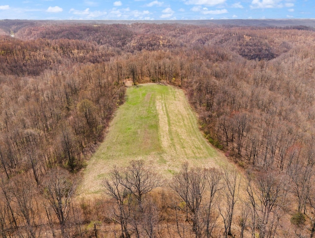 1295 Burger Knob Rd, Junction City, KY 40440 - birds eye view of property with a view of trees