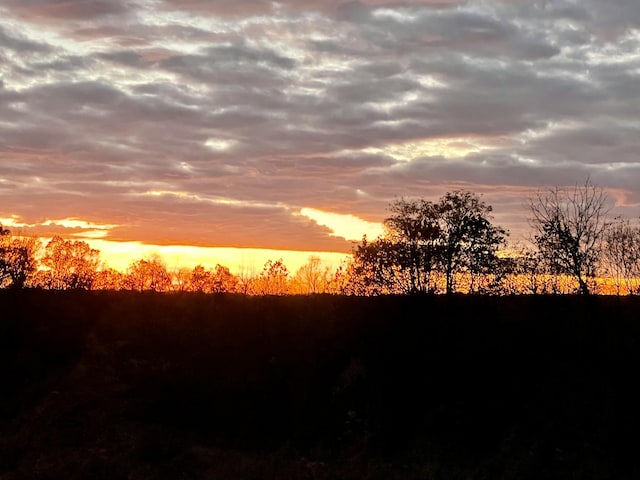 1295 Burger Knob Rd, Junction City, KY 40440 - view of nature