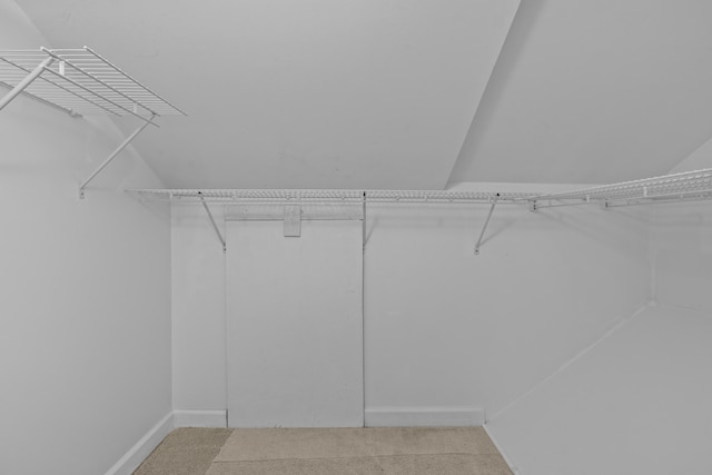 walk in closet with light carpet