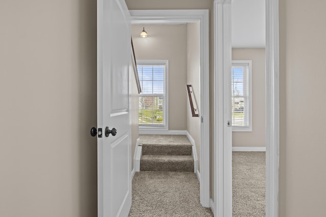 209 Old Todds Rd Unit 9103, Lexington, KY 40504 - stairway with baseboards and carpet