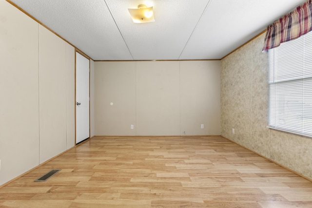2190 Bluebank Rd, Morehead, KY 40351 - spare room featuring light wood finished floors, a wealth of natural light, visible vents, and a textured ceiling