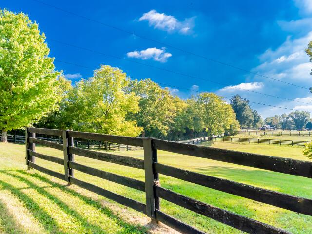 4950 Jennie Kate Ln, Lexington, KY 40510 - view of gate with a yard, fence, and a rural view