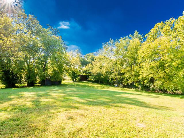 4950 Jennie Kate Ln, Lexington, KY 40510 - view of yard