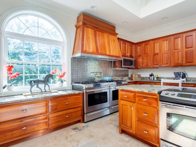 4950 Jennie Kate Ln, Lexington, KY 40510 - kitchen featuring light stone countertops, crown molding, premium range hood, and appliances with stainless steel finishes