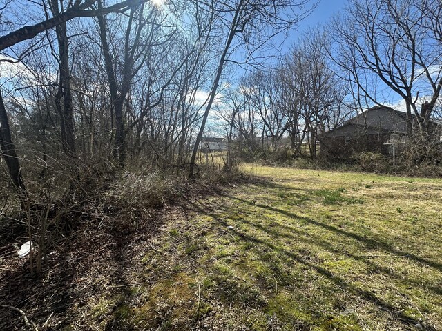 34 Bridge Fork Rd, Whitley City, KY 42653 - view of yard
