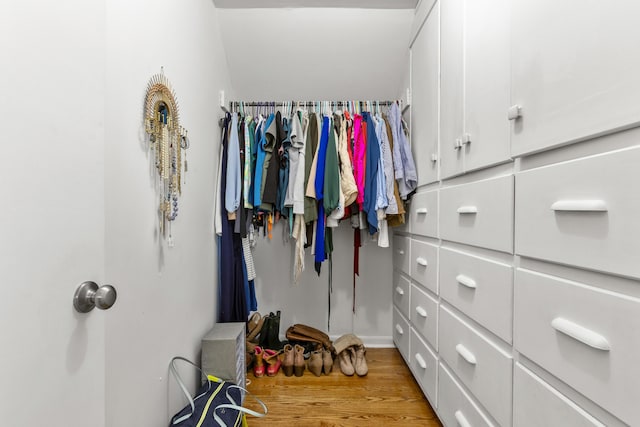 29 Quails Run Ln, West Liberty, KY 41472 - walk in closet featuring light wood-style flooring