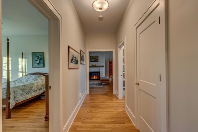 443 Hutchison Rd, Paris, KY 40361 - corridor featuring baseboards and light wood-style floors