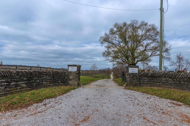 443 Hutchison Rd, Paris, KY 40361 - view of road with gravel driveway