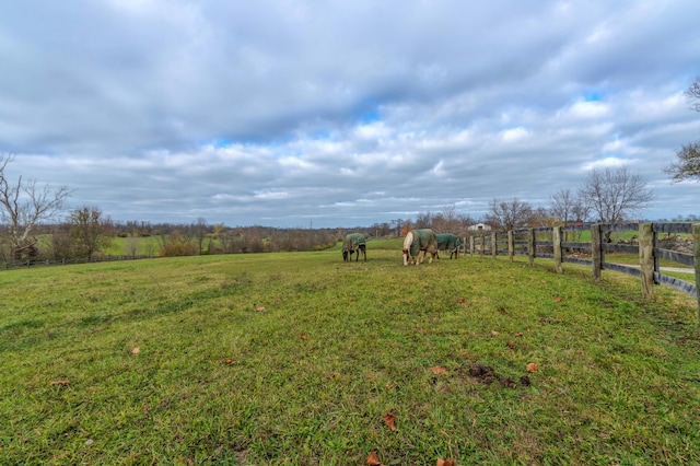 443 Hutchison Rd, Paris, KY 40361 - view of yard featuring fence and a rural view