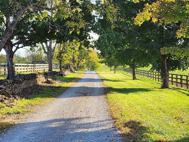 443 Hutchison Rd, Paris, KY 40361 - view of road