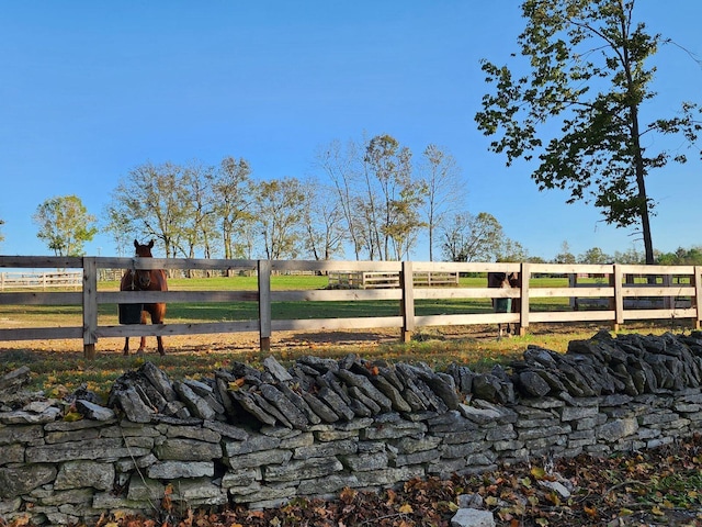443 Hutchison Rd, Paris, KY 40361 - view of yard with fence and a rural view