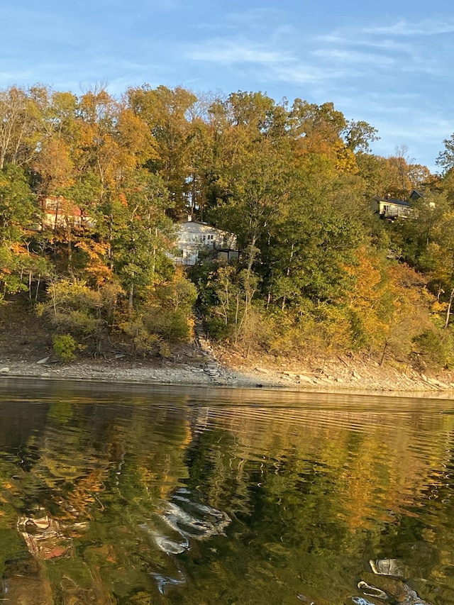 water view featuring a forest view