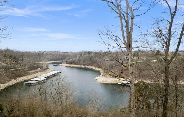 property view of water