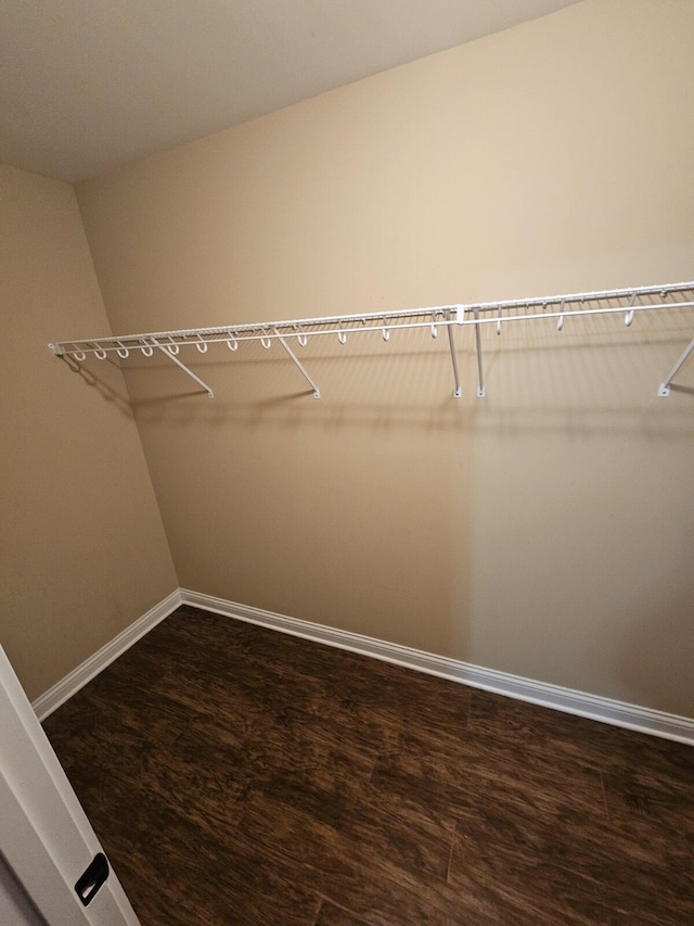 spacious closet with dark wood-type flooring