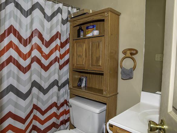 113 Woodland Trl, Somerset, KY 42501 - full bathroom with toilet, vanity, and a shower with shower curtain