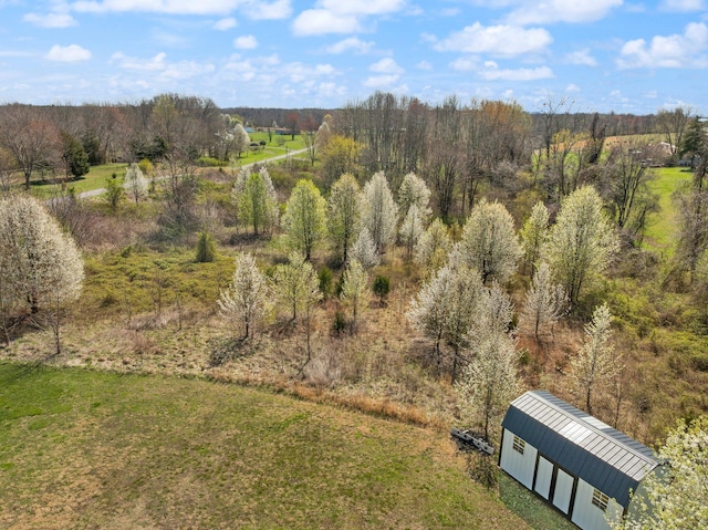 58 Mcclendon Ln, Russell Springs, KY 42642 - bird's eye view