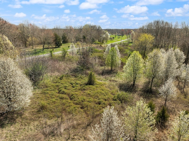 58 Mcclendon Ln, Russell Springs, KY 42642 - view of undeveloped land with rural landscape