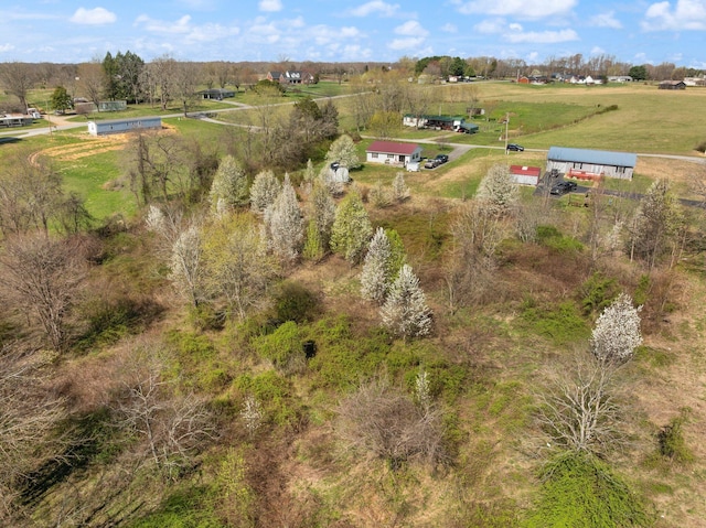 58 Mcclendon Ln, Russell Springs, KY 42642 - view of rural area