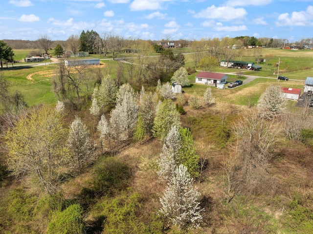 58 Mcclendon Ln, Russell Springs, KY 42642 - view of rural area