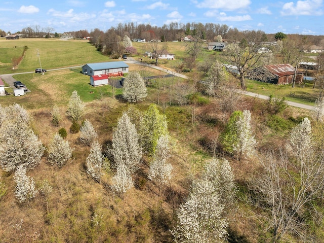 58 Mcclendon Ln, Russell Springs, KY 42642 - overview of rural landscape