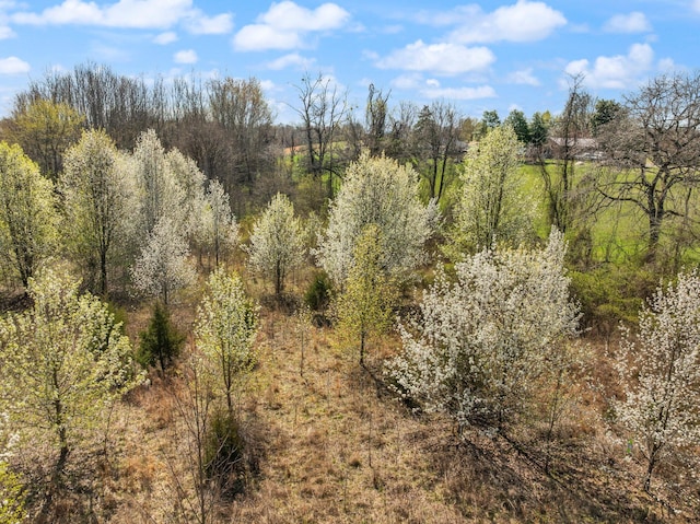 58 Mcclendon Ln, Russell Springs, KY 42642 - view of wooded area
