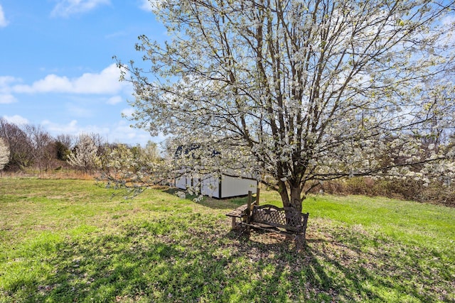 58 Mcclendon Ln, Russell Springs, KY 42642 - view of green lawn