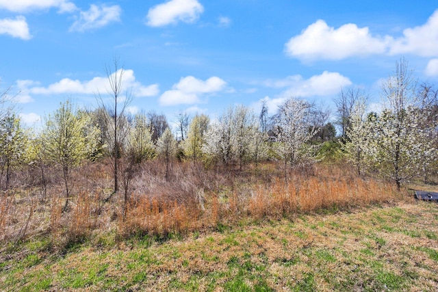 58 Mcclendon Ln, Russell Springs, KY 42642 - view of nature