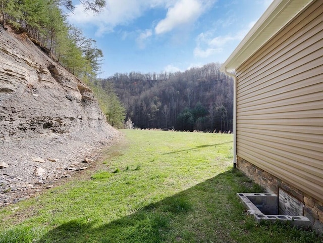 100 Mountain Enterprise Dr, Inez, KY 41224 - view of yard with a wooded view