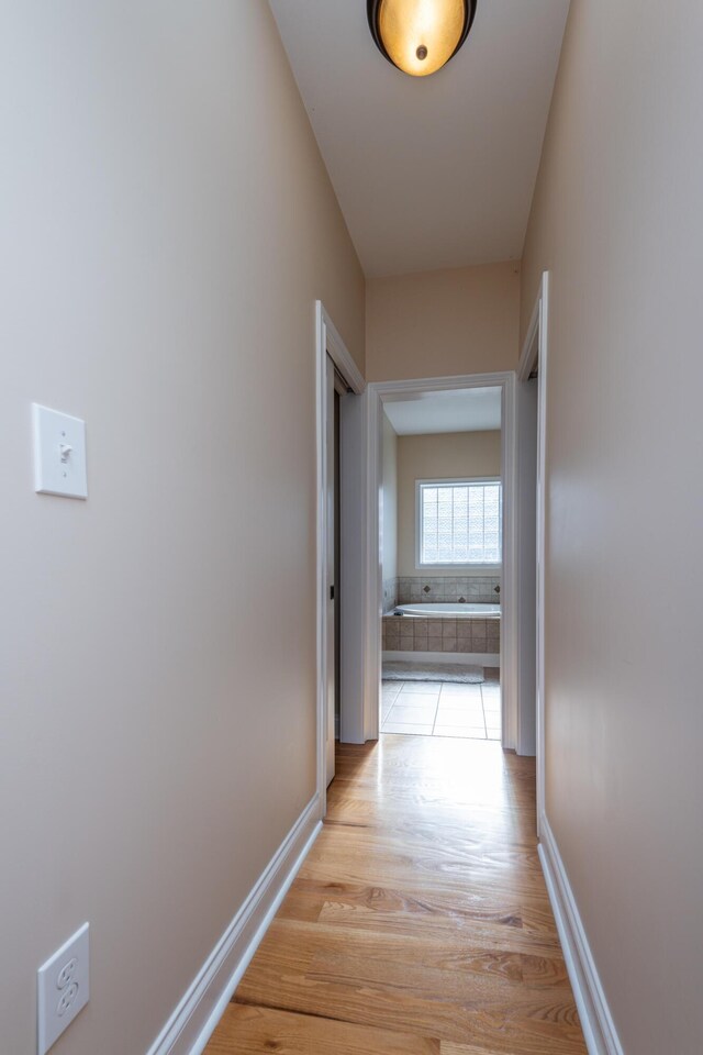 790 Thatchers Mill Rd, Paris, KY 40361 - corridor with baseboards and light wood-type flooring