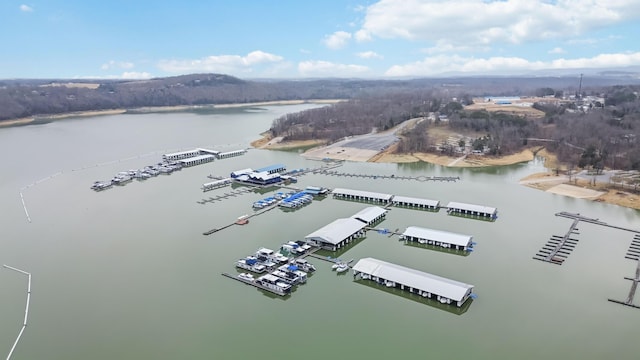 675 Indian Cave Subdivision Rd, Monticello, KY 42633 - bird's eye view of a nearby body of water and numerous boat docks