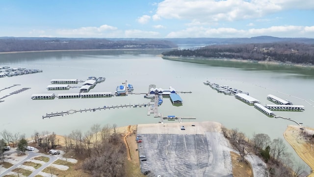 675 Indian Cave Subdivision Rd, Monticello, KY 42633 - aerial view of a nearby body of water and a marina
