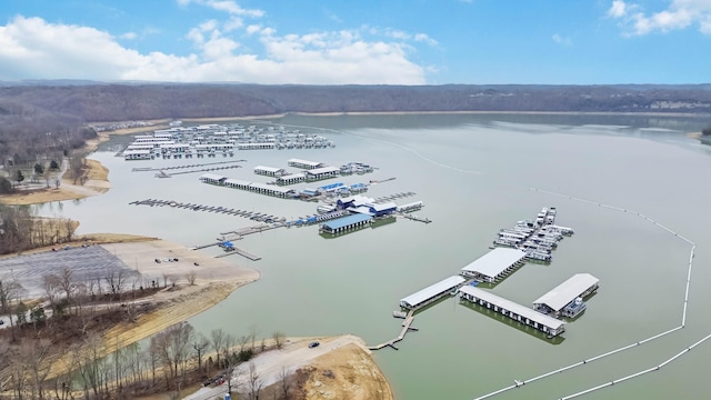 675 Indian Cave Subdivision Rd, Monticello, KY 42633 - aerial view of a nearby body of water and a marina