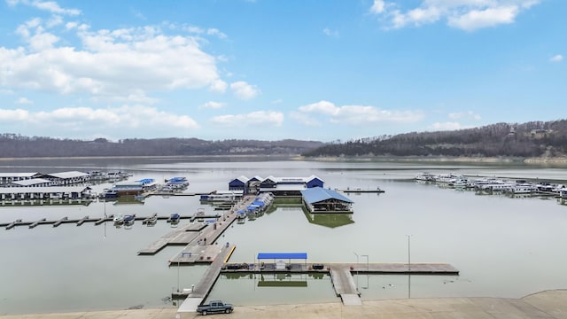 675 Indian Cave Subdivision Rd, Monticello, KY 42633 - dock with a water view