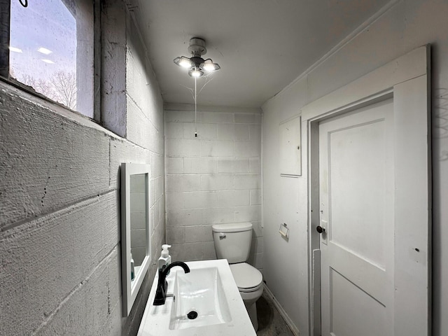 247 Mt Sterling Ave, Flemingsburg, KY 41041 - half bathroom featuring concrete block wall, toilet, and a sink