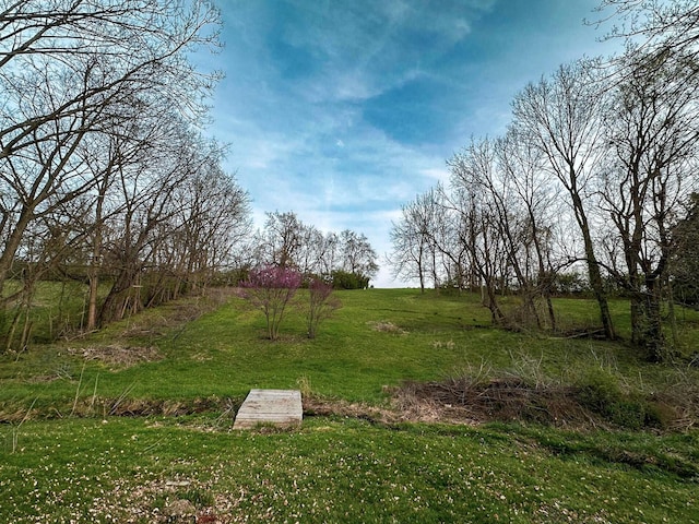 247 Mt Sterling Ave, Flemingsburg, KY 41041 - view of yard