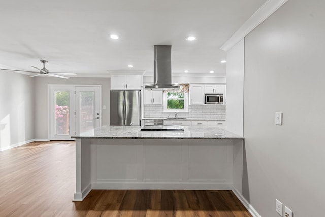 kitchen featuring appliances with stainless steel finishes, island range hood, a sink, wood finished floors, and white cabinetry