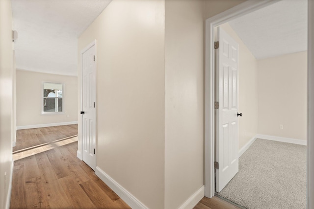 80 Westview Dr, Stanton, KY 40380 - corridor featuring wood finished floors and baseboards