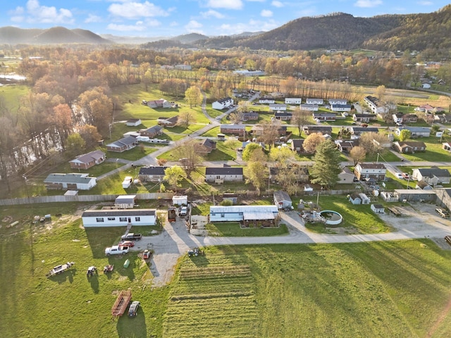 80 Westview Dr, Stanton, KY 40380 - drone / aerial view with a mountain view