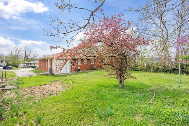 2429 Mirahill Dr, Lexington, KY 40509 - view of yard