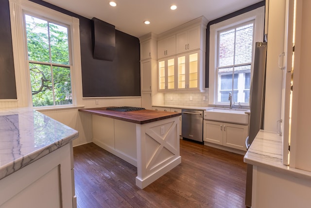 261 N Broadway, Lexington, KY 40507 - kitchen with stainless steel dishwasher, a sink, decorative backsplash, recessed lighting, and white cabinetry