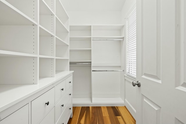 walk in closet featuring wood finished floors