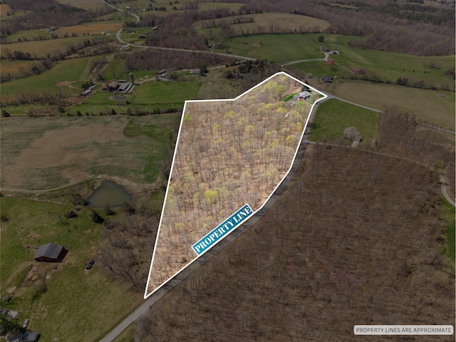 11 Hominy Hill Rd, Nancy, KY 42544 - drone / aerial view with a rural view