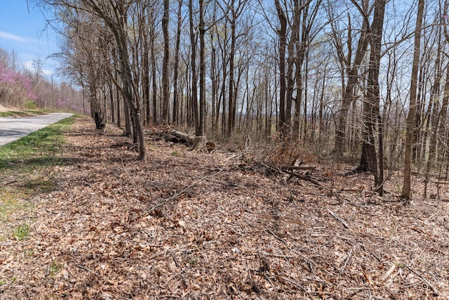 11 Hominy Hill Rd, Nancy, KY 42544 - view of local wilderness